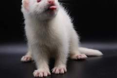 FB_IMG_1720770729131