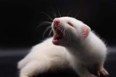 FB_IMG_1720770742674