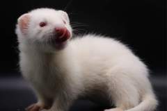 FB_IMG_1720770746797