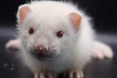 FB_IMG_1720977732832