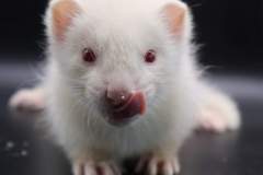 FB_IMG_1720977736605