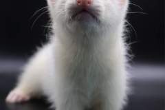 FB_IMG_1720977745751